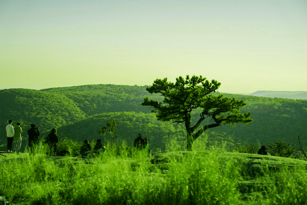 Summer School 2024 SEC